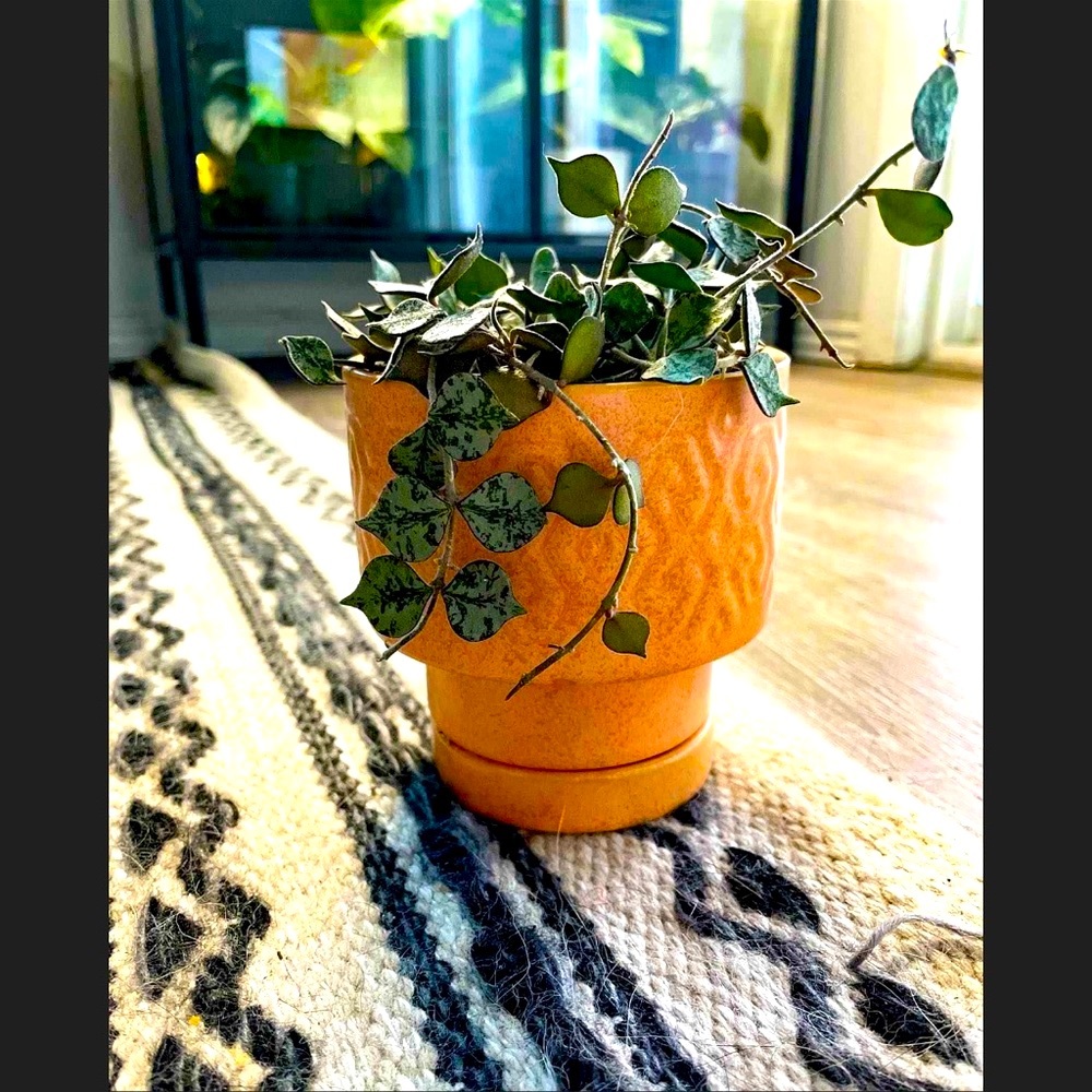 Opalhouse designed with Jungalow™ Terra Cotta Planter